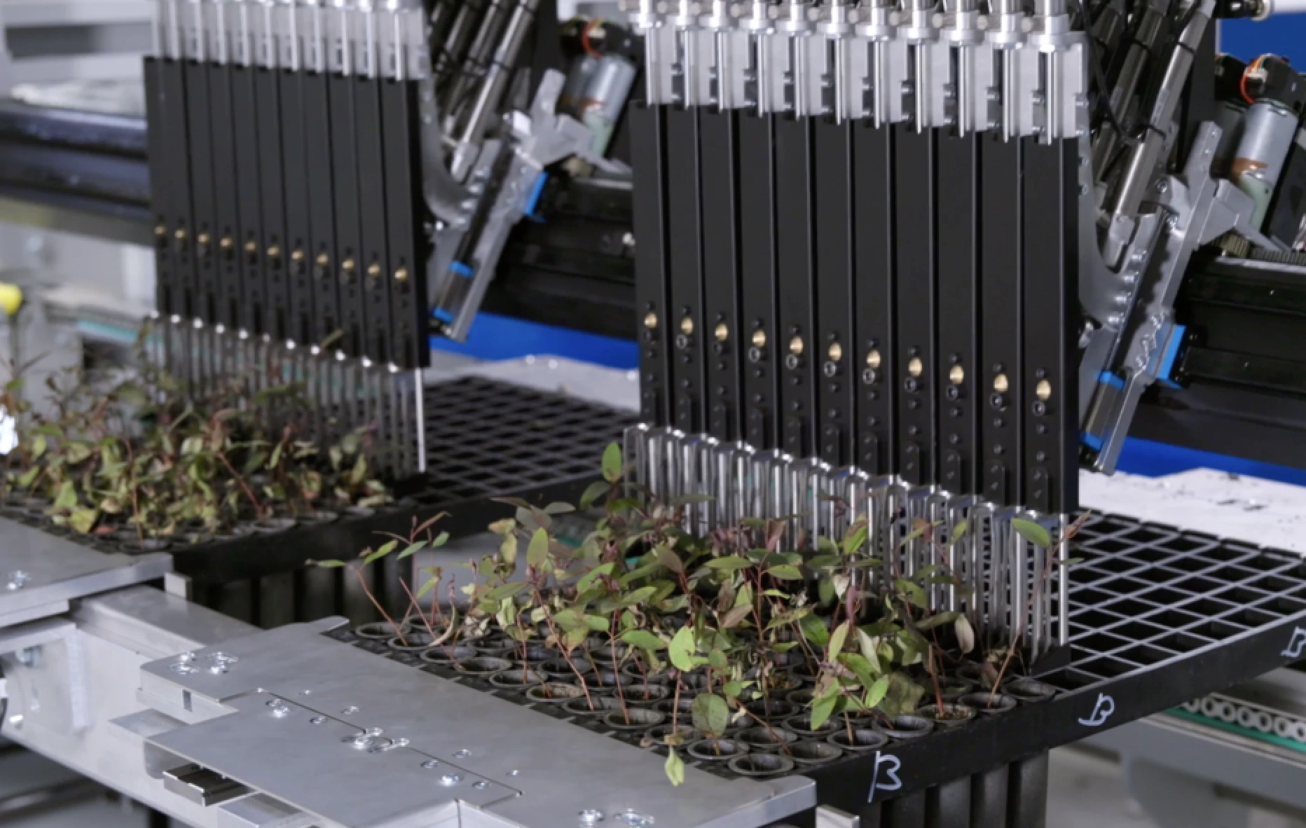 The FlexSorter-S Eucalyptus is here